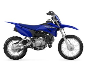 2023 Yamaha TT-R 110